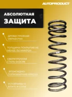 Комплект заниженных задних пружин с переменным шагом - 30 Калина, Гранта, Приора — изображение 3