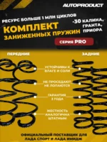Пружины передние + задние -30 ВАЗ Калина, Гранта, Приора, Dutsun (шумоизолятор в комплекте)